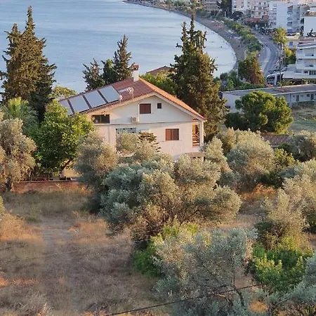 Apartment Lefkadi By The Sea Chalkida